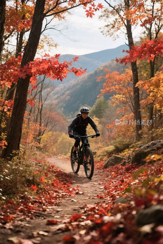 秋日森林山地骑行