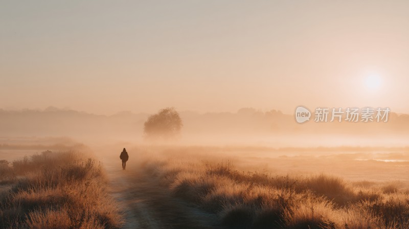 晨曦中独行者的旷野之路