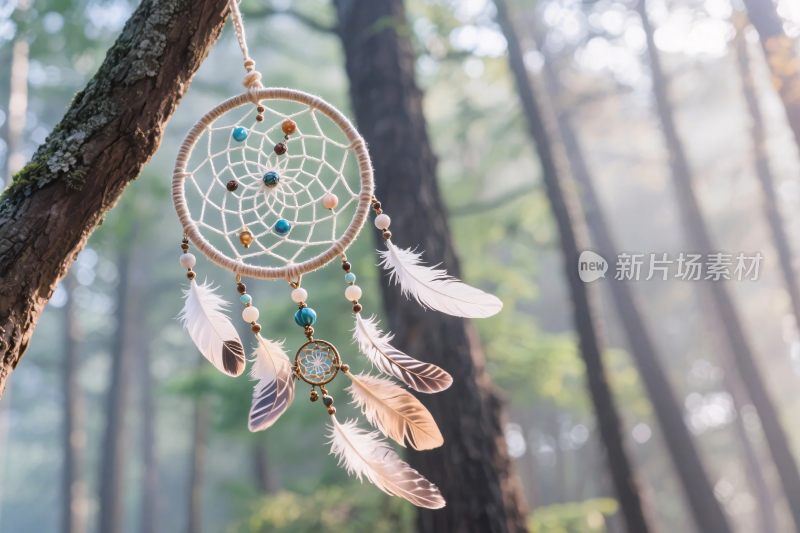 森林中的捕梦网