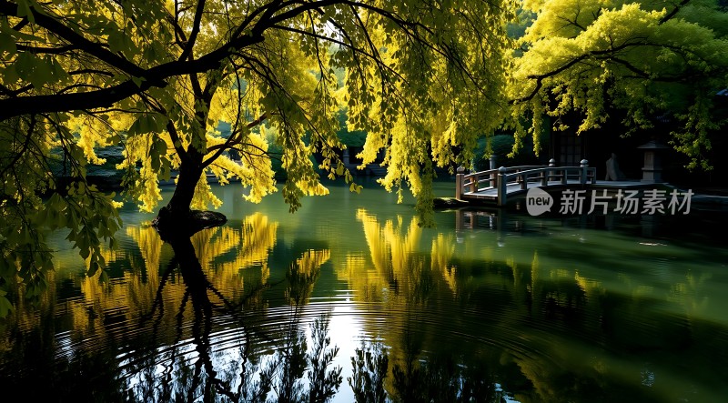 湖畔金秋映翠波