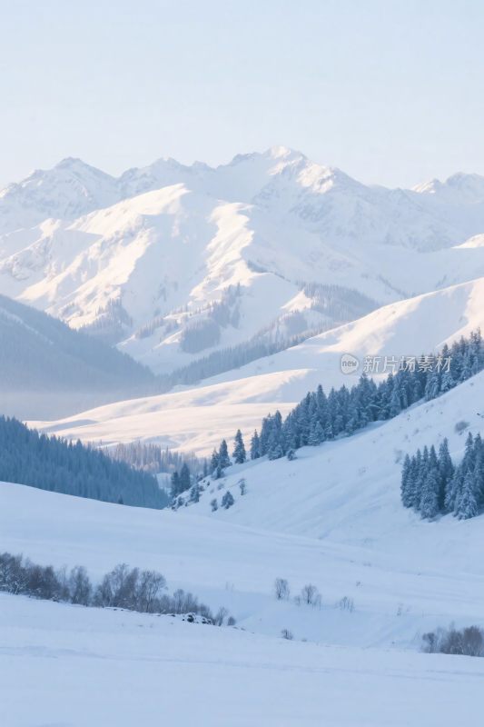 雪山雪景山林图