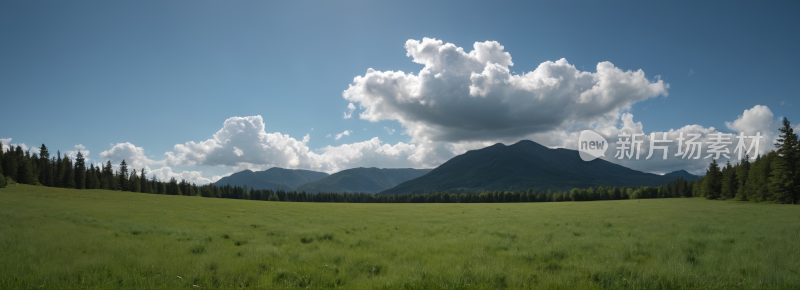 一大片田野一座高山清风景横幅图片