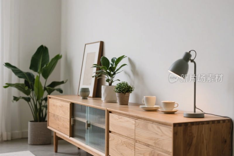 简约室内绿植布置