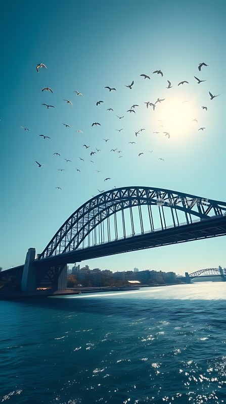 阳光下的海鸥与悉尼歌剧院