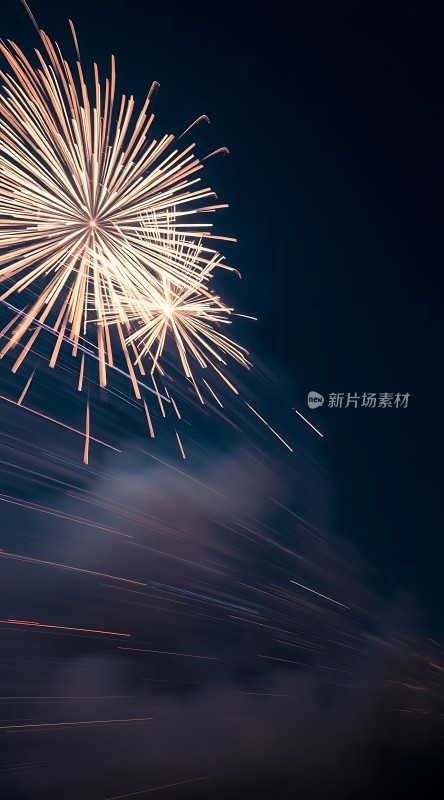 夜空烟花绽放璀璨夺目
