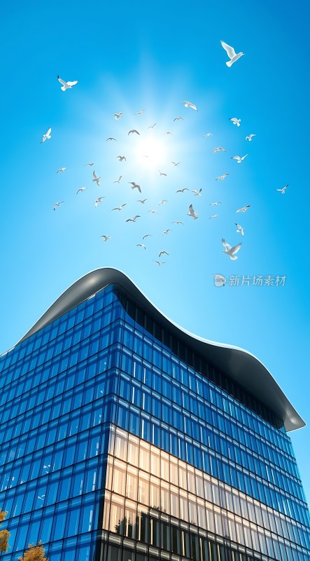 阳光下的现代建筑与飞翔的白鸽