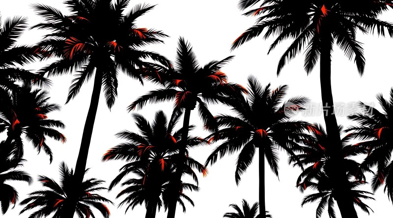 椰林剪影阳光下的热带风情