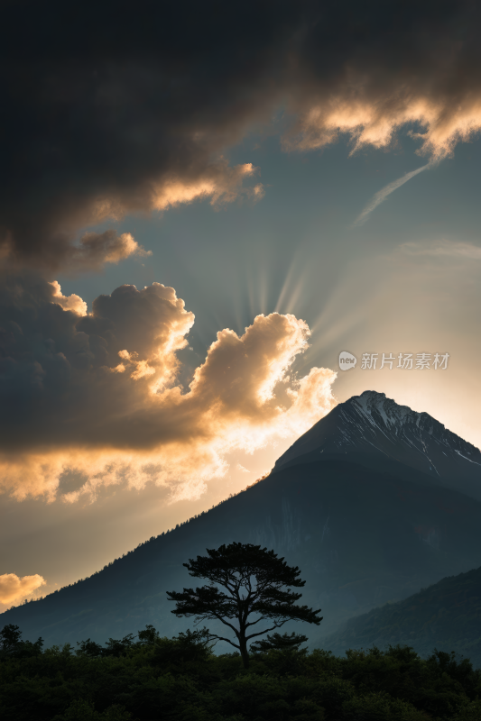 一座大山一棵树高清风景图片