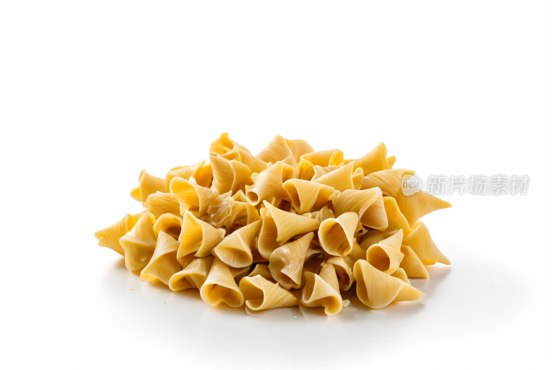 海螺意面壳图片