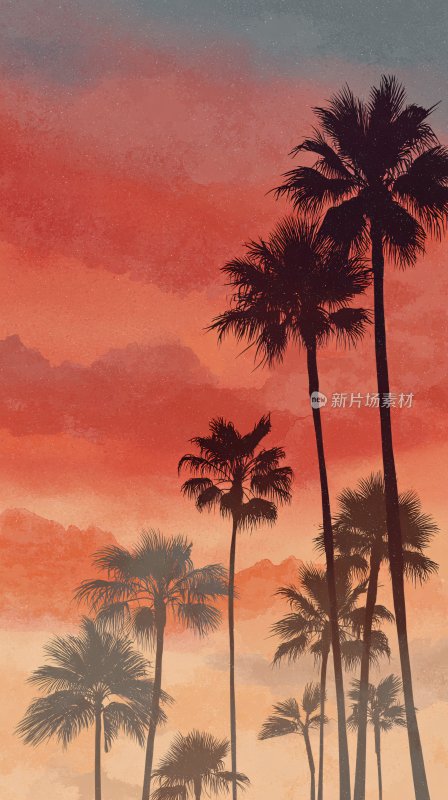 夕阳下的棕榈树风景