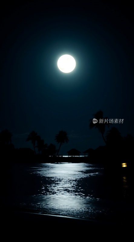 椰林月影静谧夜景