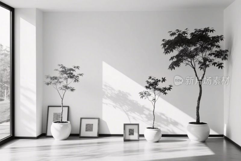 简约室内绿植装饰场景