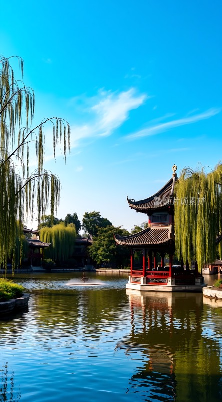 湖畔古亭柳枝垂