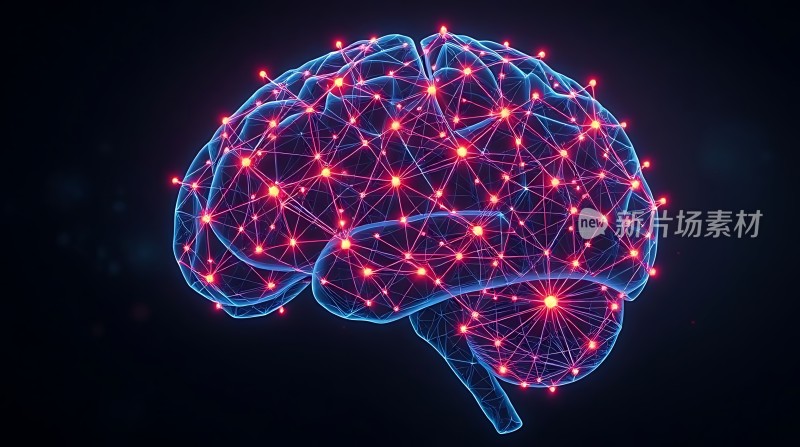 **大脑神经元网络**