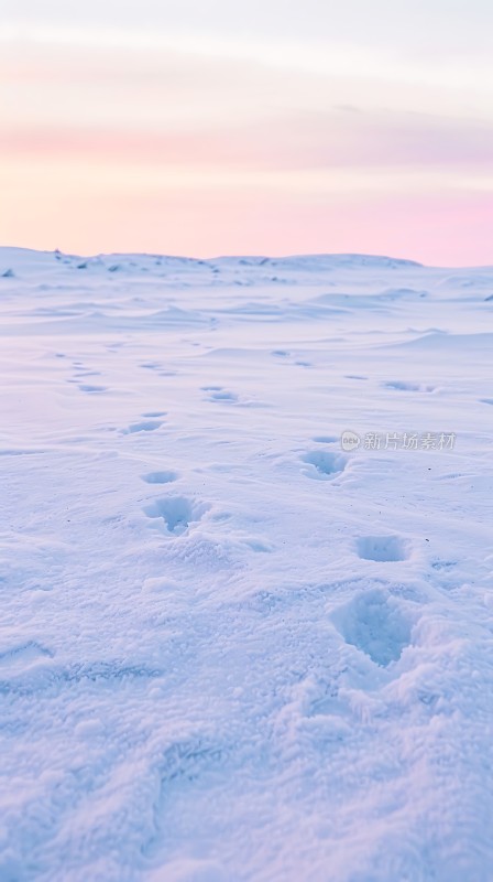 雪地足迹宁静而美丽