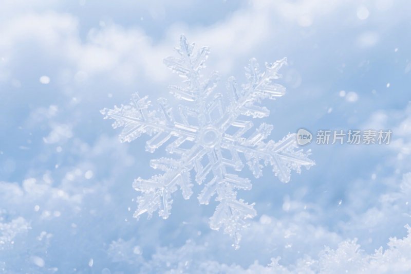 雪花冰晶特写