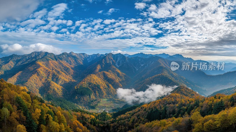 云雾缭绕的山峰