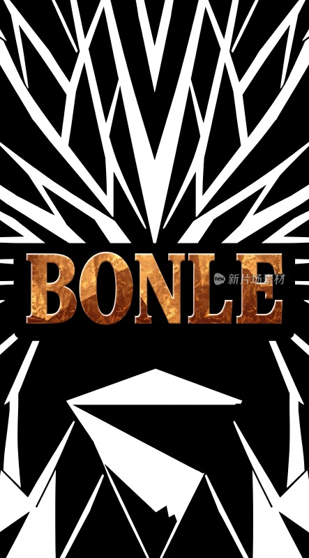 黑色背景上的金色“BONLE”字样简洁而醒目