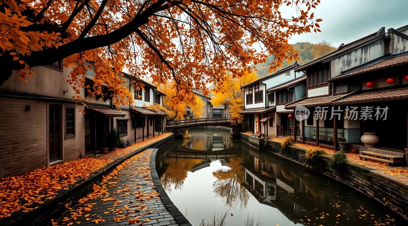 秋日古巷水乡情