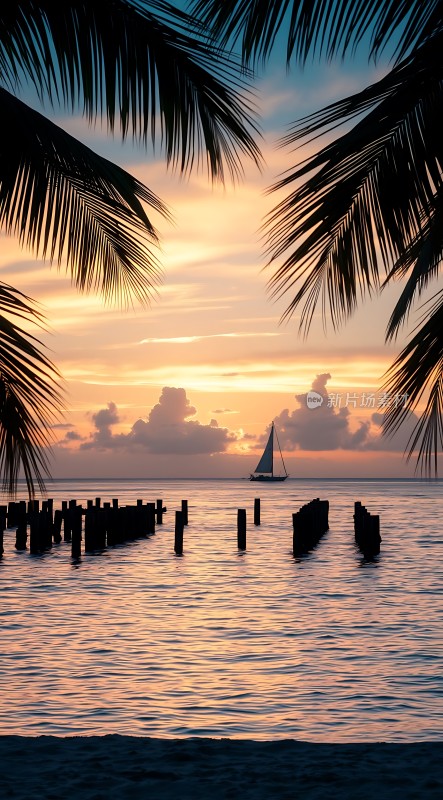 椰林帆影日落时