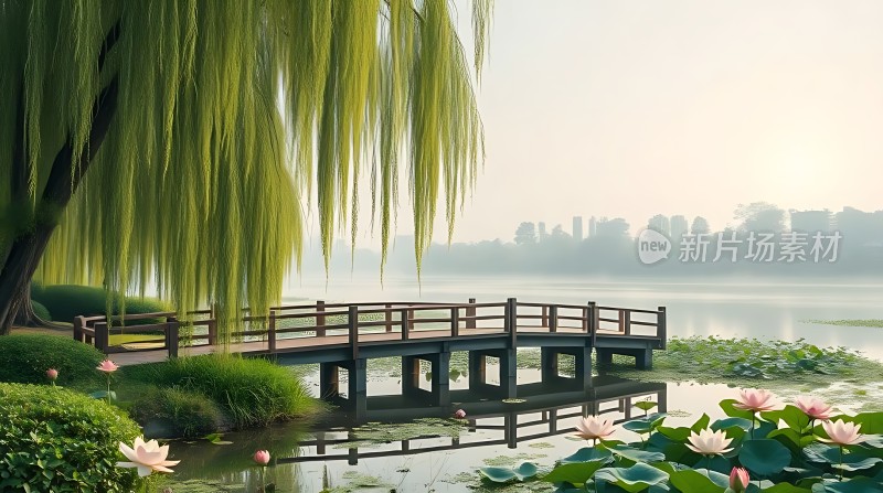 湖畔柳桥映荷花