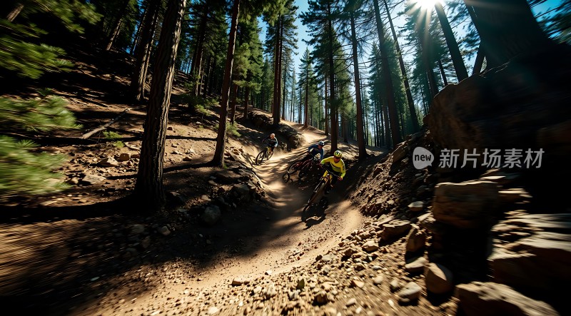 骑行者穿越森林小径