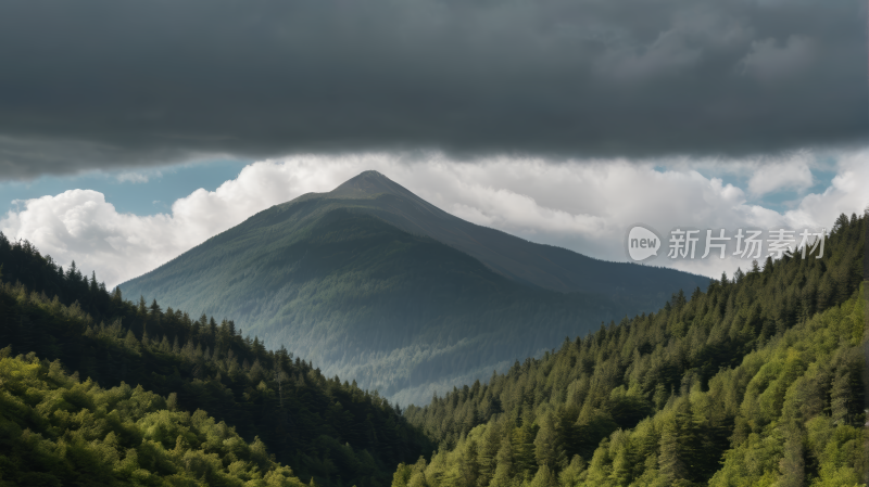 一座有森林的高山清风景图片