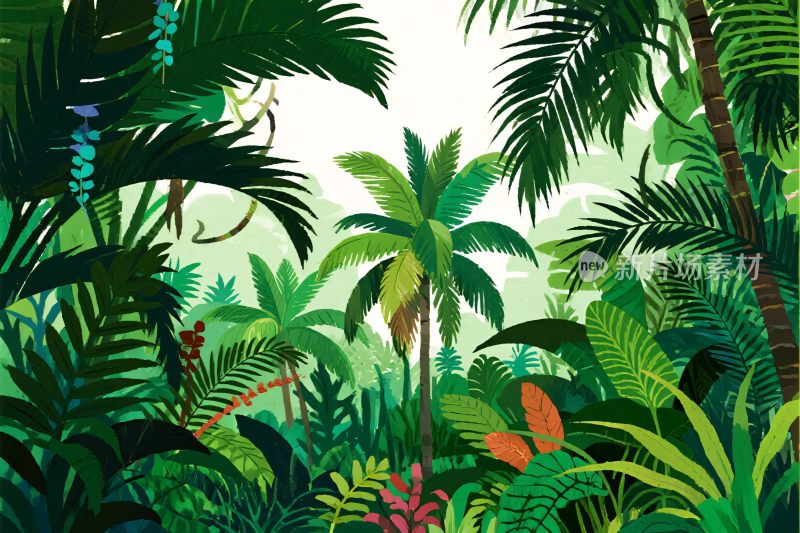 热带雨林丛林插画