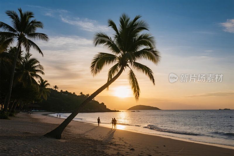 夕阳下的海滩与棕榈树美景