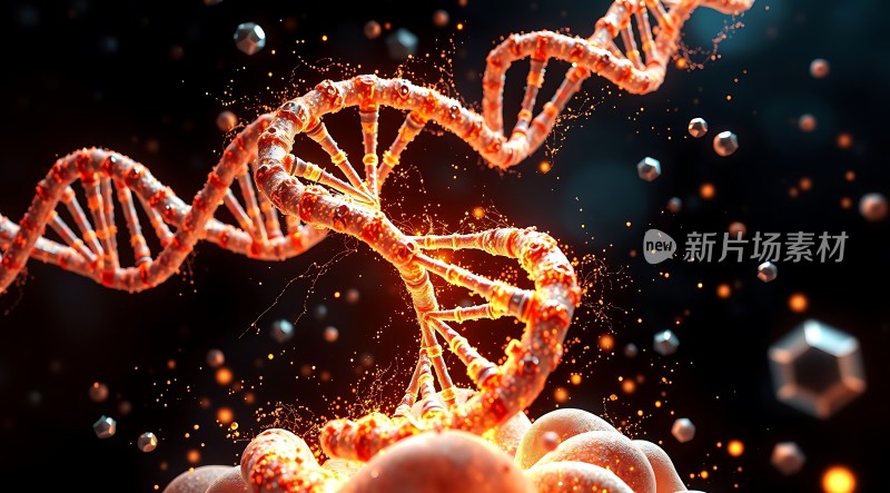 DNA螺旋结构之美