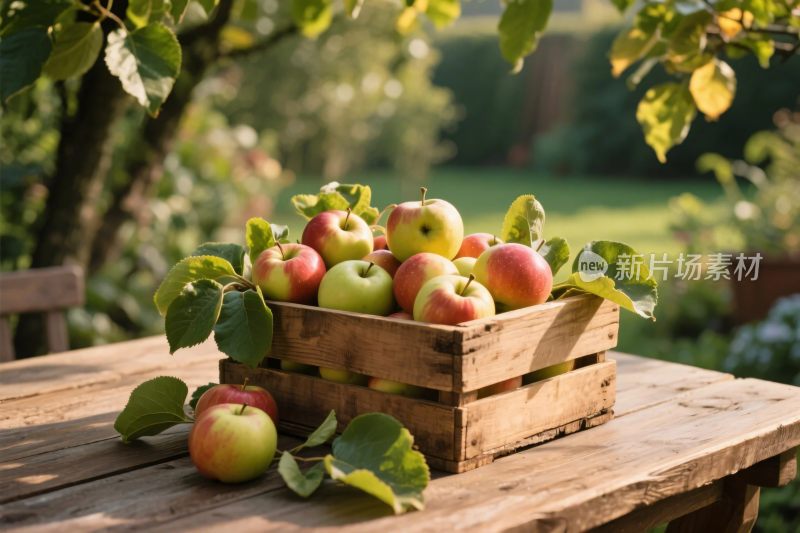 果树下的木箱装满苹果