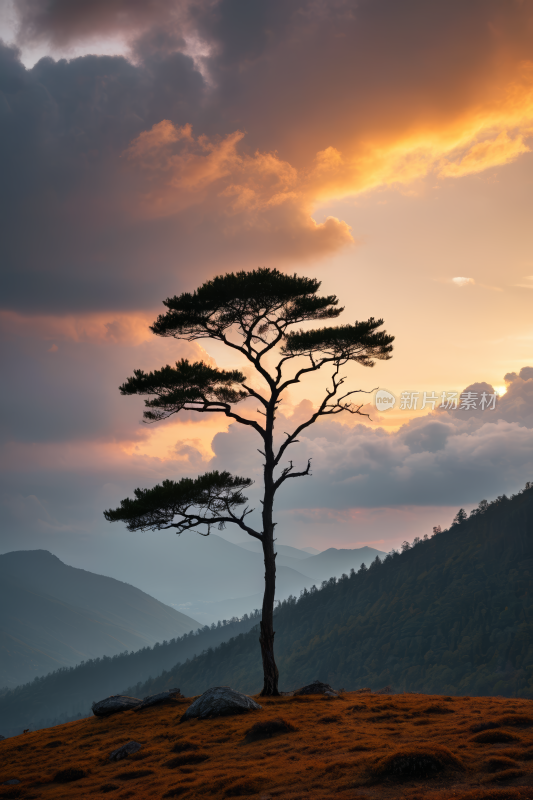 山上的树木日落高清风景图片