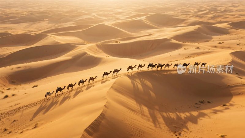 沙漠驼队风光摄影