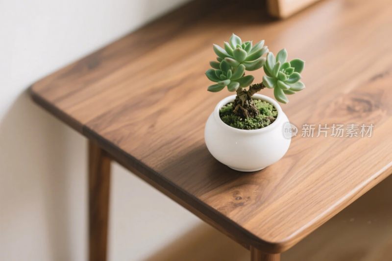 木桌上的多肉盆栽