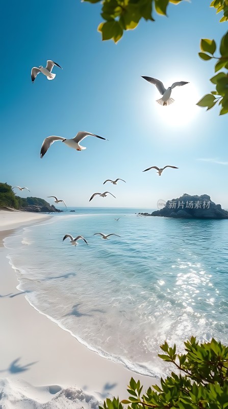 阳光下的海鸥飞翔在美丽的海滩上