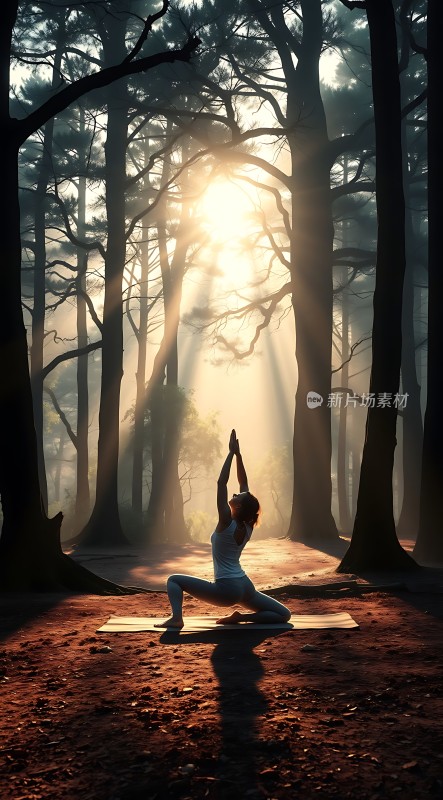 晨光瑜伽宁静森林中寻找内心的平静与和谐