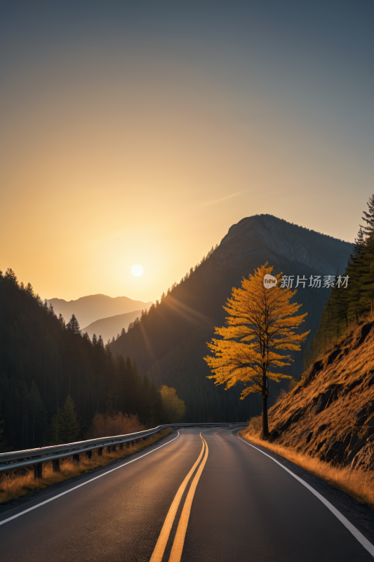 道路一侧一棵孤树高清风景图片