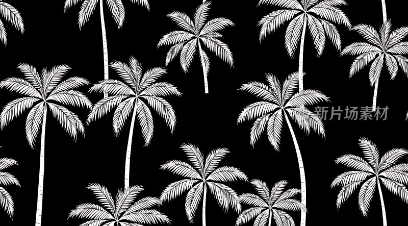 黑白椰子树图案