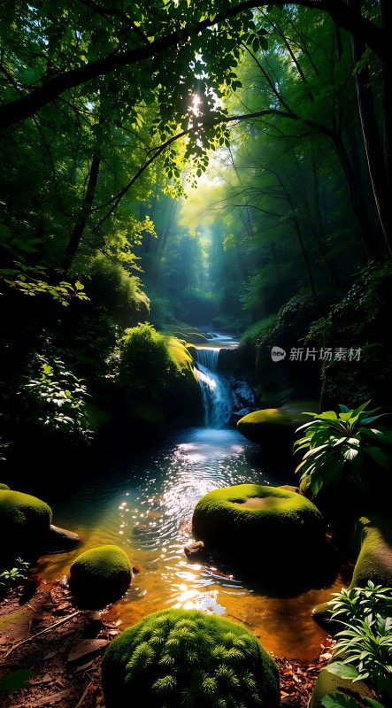 阳光森林小溪瀑布