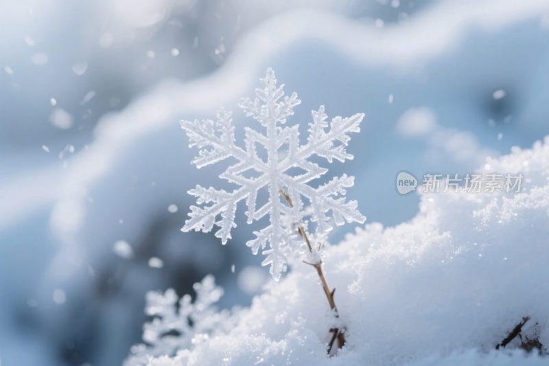 冬日雪花雪景
