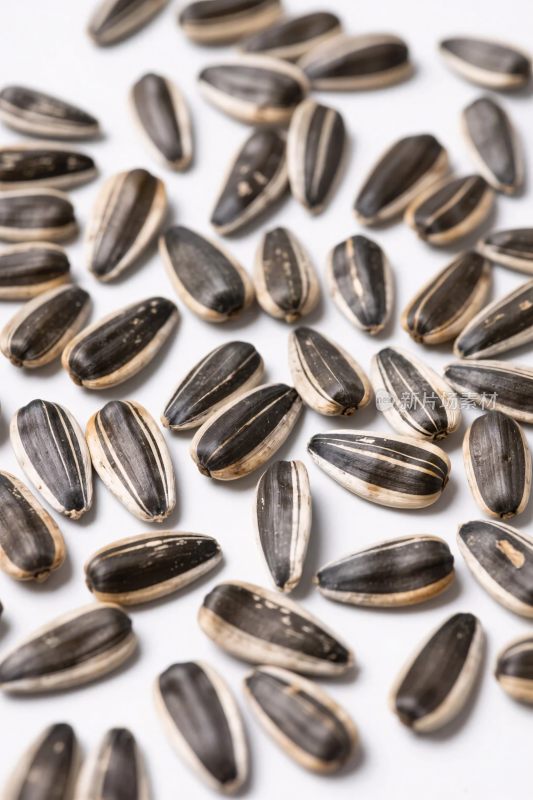 散落的葵花籽特写