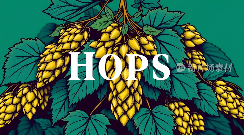 金色啤酒花绿色叶子背景