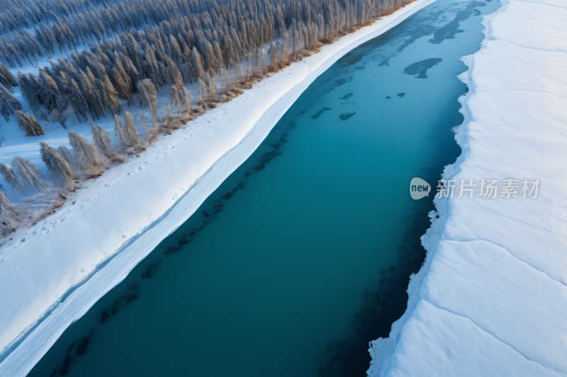 雪地里树木繁茂的河流景色高清风景图片