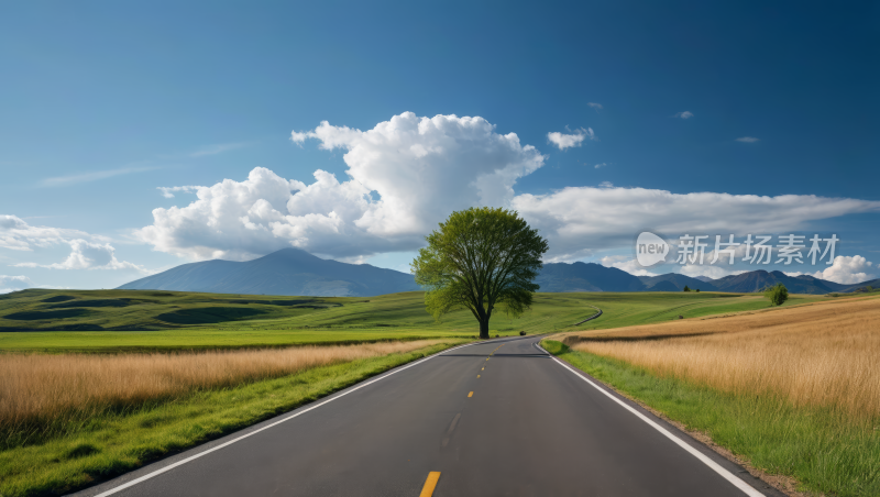 公路孤树风光风景图片