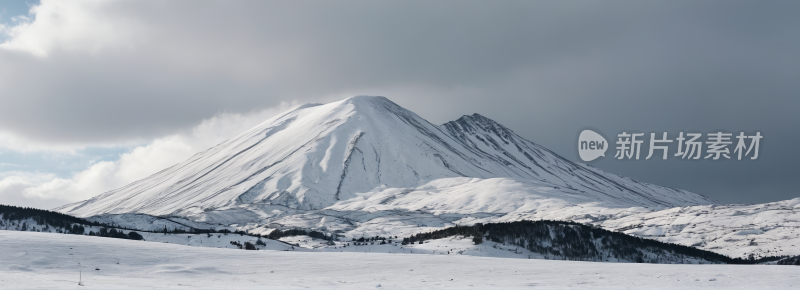 雪山有雪覆盖山峰和几棵树高清风景横幅图片