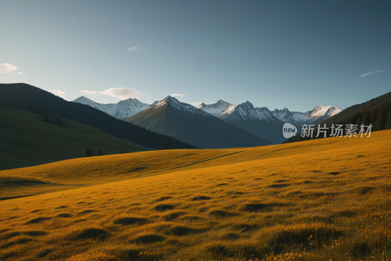 山脉一片黄色的田野高清风景图片