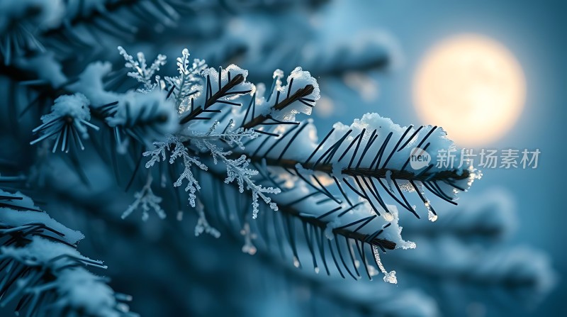 雪夜松枝月影