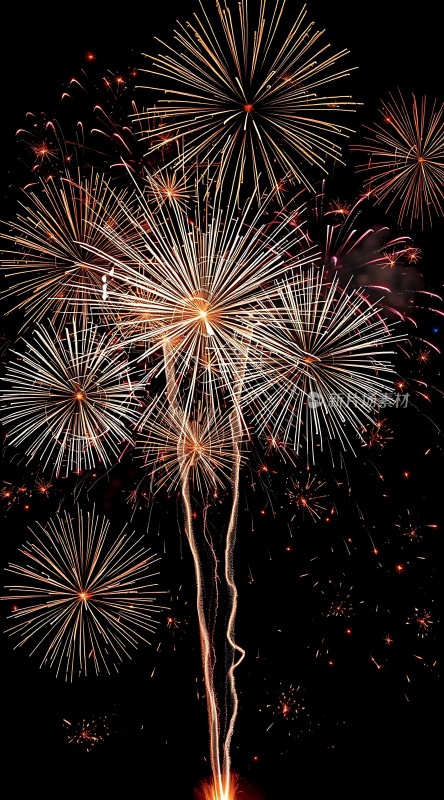 夜空烟花绽放色彩斑斓光芒四射