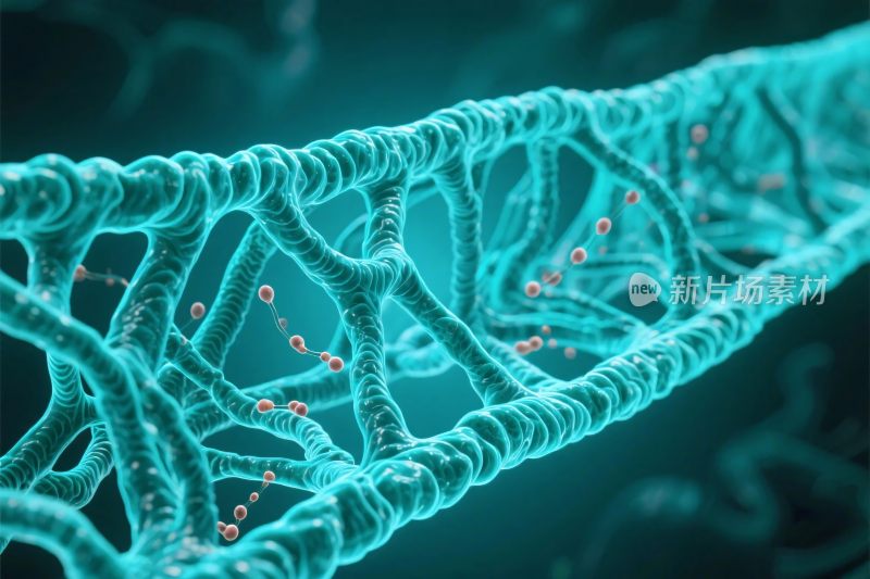 双螺旋结构示意图