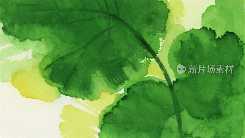 水彩风格的绿色叶片画面